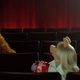 No talking into Bananas, either. (Image: AMC Theaters PSA about Movie Theater Etiquette, starring the Muppets. Screenshot via Youtube.)